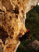 G.Puccia su Siculamente, 7a. Ambiguità (Modica-Rg)